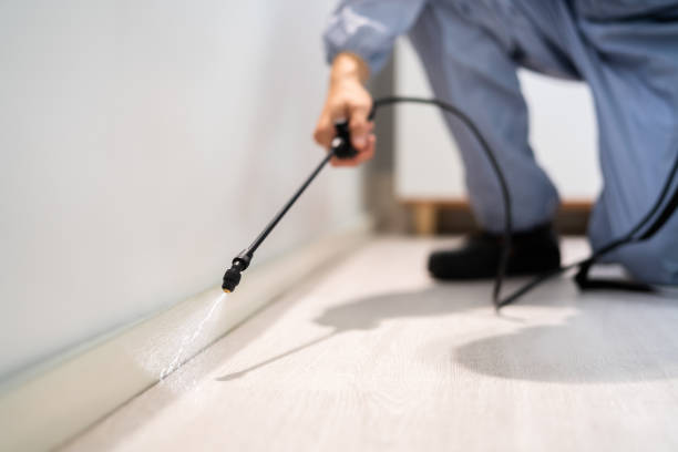 Licensed Cockroach Control service in Bristol, FL - Nex Pest Control