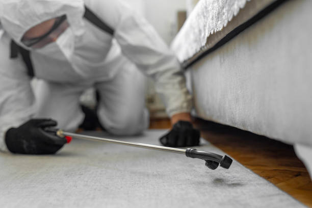 Professional Cockroach Control technician working in Bristol, FL