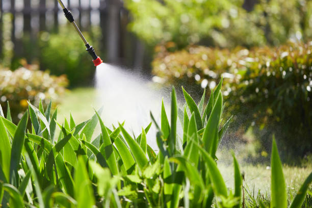 24/7 Emergency Cockroach Control experts in Bristol, FL